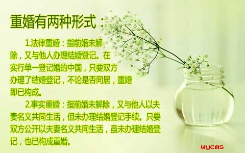 重婚知識 重婚